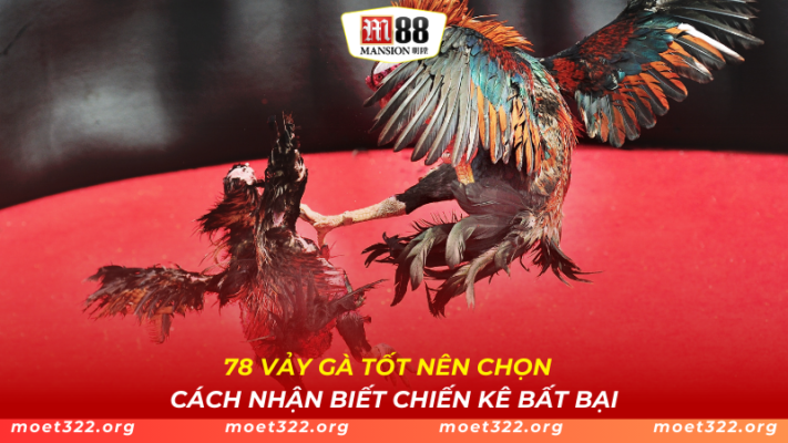 78 Vảy Gà Tốt Nên Chọn - Cách Nhận Biết Chiến Kê Bất Bại 1 78 Vảy Gà Tốt Nên Chọn - Cách Nhận Biết Chiến Kê Bất Bại