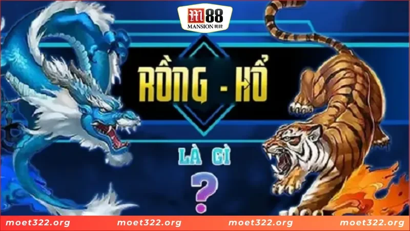 Rồng Hổ M88 - Cơ Hội Săn Thưởng Đầy Hấp Dẫn Và Thách Thức 5 Đặt cược vào cửa Hổ trong Rồng Hổ