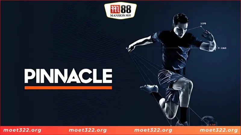 Pinnacle Sports - Thiên Đường Giải Trí Đẳng Cấp Nhất 2025 2 Giới thiệu khái quát về sảnh Pinnacle sports cho tân thủ