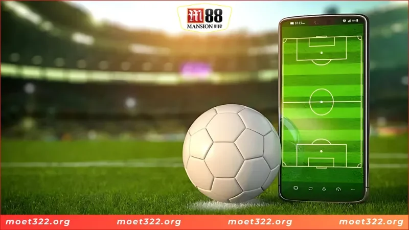BTI Sports - Sảnh Cược Thể Thao Đẳng Cấp Nhất Năm 2025 3 Khám phá các bộ môn thể thao nổi tiếng của BTI Sports