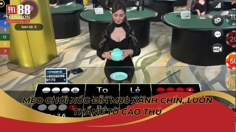 Mẹo chơi Xóc Đĩa M88 xanh chín, luôn thắng từ cao thủ 3 Mẹo chơi Xóc Đĩa M88 xanh chín, luôn thắng từ cao thủ